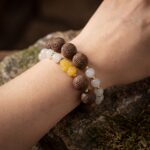 Poria and Angelica——Strengthen the spleen, boost energy, and nourish the blood - immagine 4